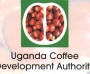 Uganda Coffee Development Authority ( UCDA )  logo