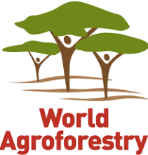 AgroForestry Centre  logo